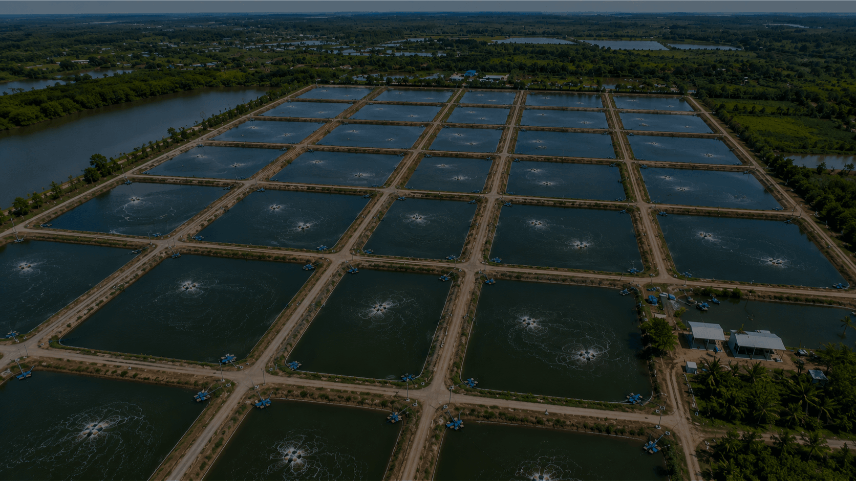 AquaRythu shrimp farm management app showing pond dashboard and feed tracking